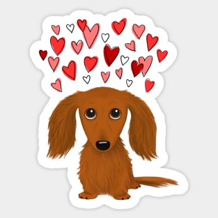 Cute Dog | Longhaired Red Dachshund with Hearts | Valentine's Day Sticker